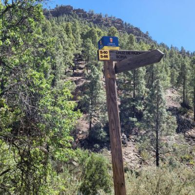 El Juncal de Tejeda Chemins de randonnées
