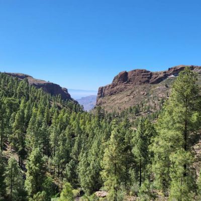 El Juncal de Tejeda la nature à proximité de Los Pinares
