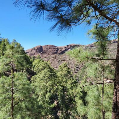 El Juncal de Tejeda la nature à proximité de Los Pinares