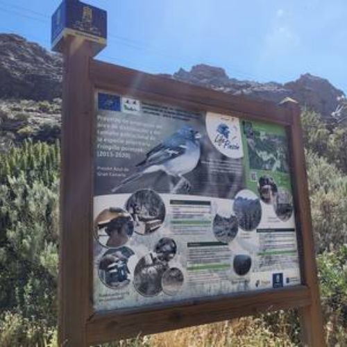 Panneau indicateur d'observation du pinzón azul