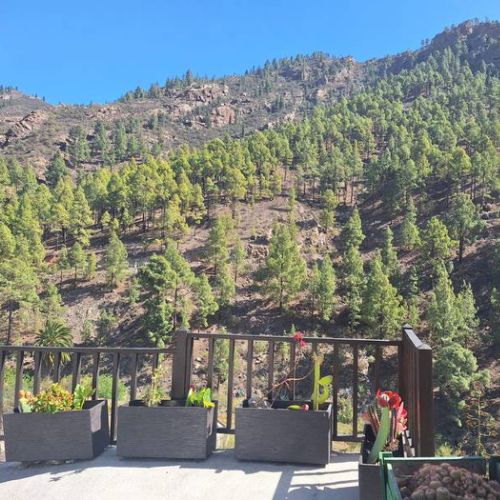 Los Pinares El Juncal de Tejeda Vue depuis la maison