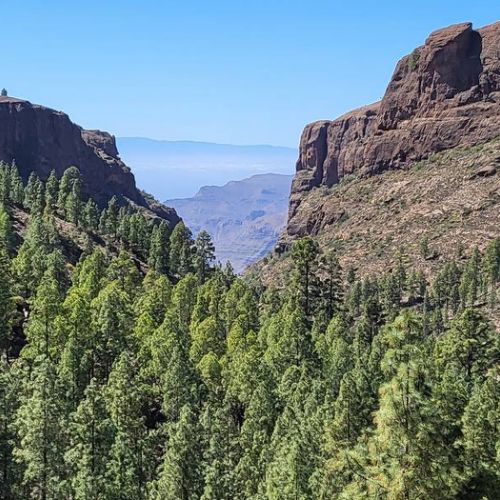 Vue sur Tenerife à 20 min à pied