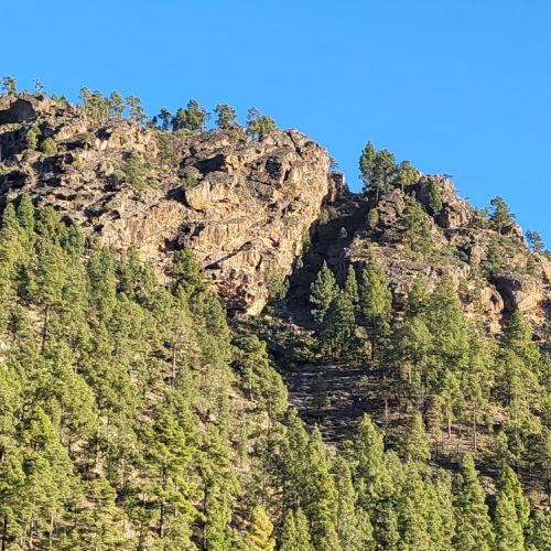 Maison Rurale Los Pinares El Juncal de Tejeda Grande Canarie
