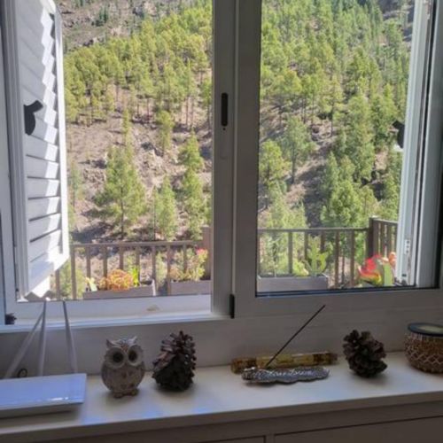 Vue depuis le couloir sur les pins