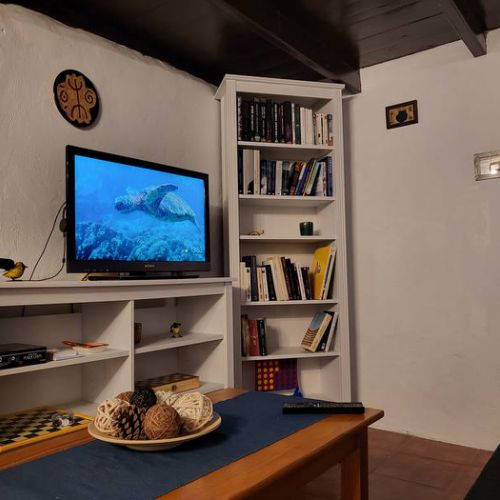 Meuble TV et bibliothèque
