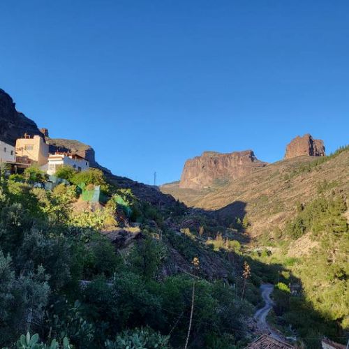 Los Pinares El Juncal de Tejeda Vue depuis la maison sur la Barranco
