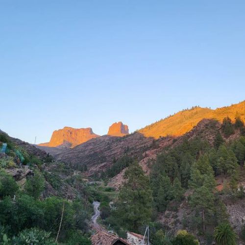 Los Pinares El Juncal de Tejeda Vue de la vallee depuis la maison