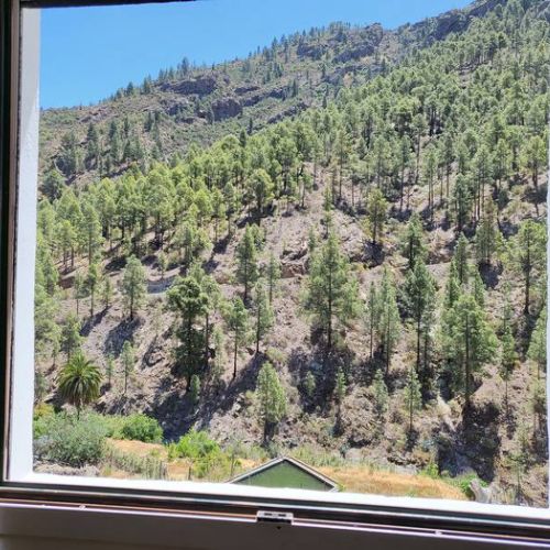 Los Pinares El Juncal de Tejeda Vue depuis la cuisine
