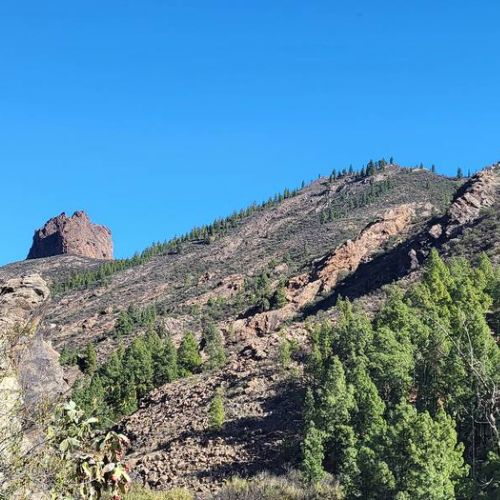 Los Pinares El Juncal de Tejeda Vue depuis la maison sur le Barranco