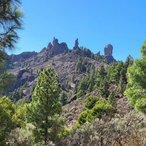 Vue depuis le Roque Nublo