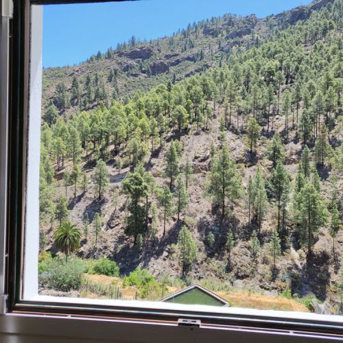 La vue depuis la cuisine de la maison rurale Los Pinares El Juncal de Tejeda Grande Canarie
