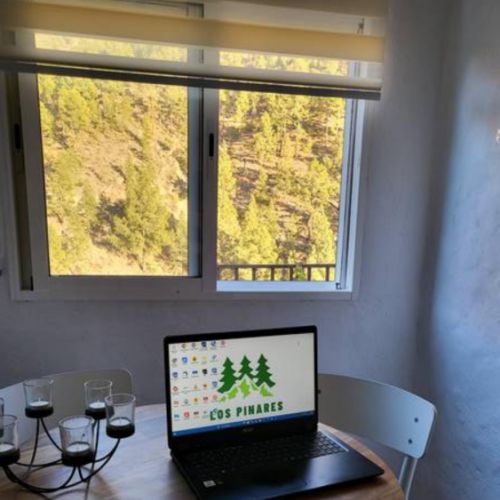 Coin travail avec vue sur les pins