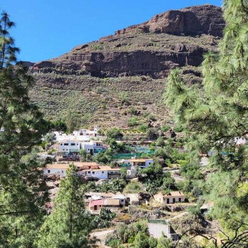 El Juncal de Tejeda, panorama depuis la pinède