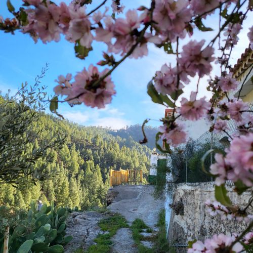 Access to the property is via a small path.