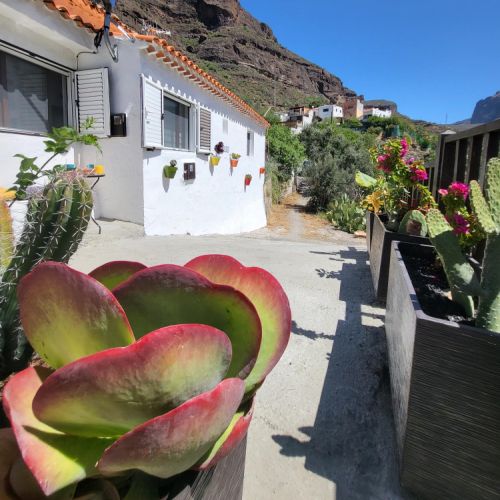 Rural House in Gran Canaria