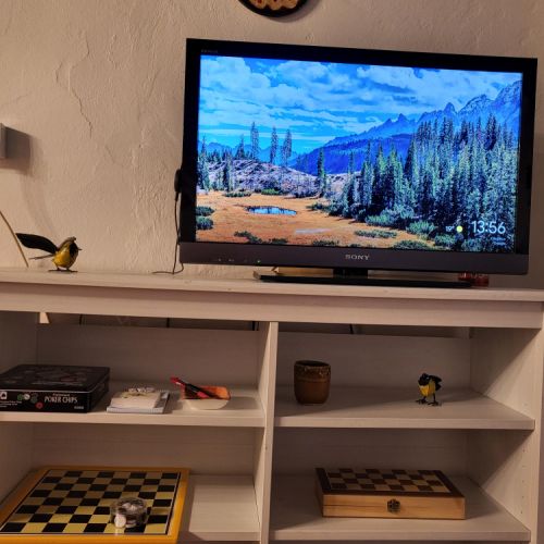 Sony TV with Google Chromecast